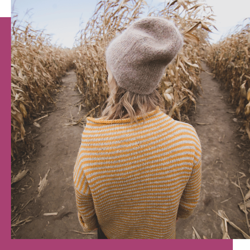 online leeromgeving LearnDash